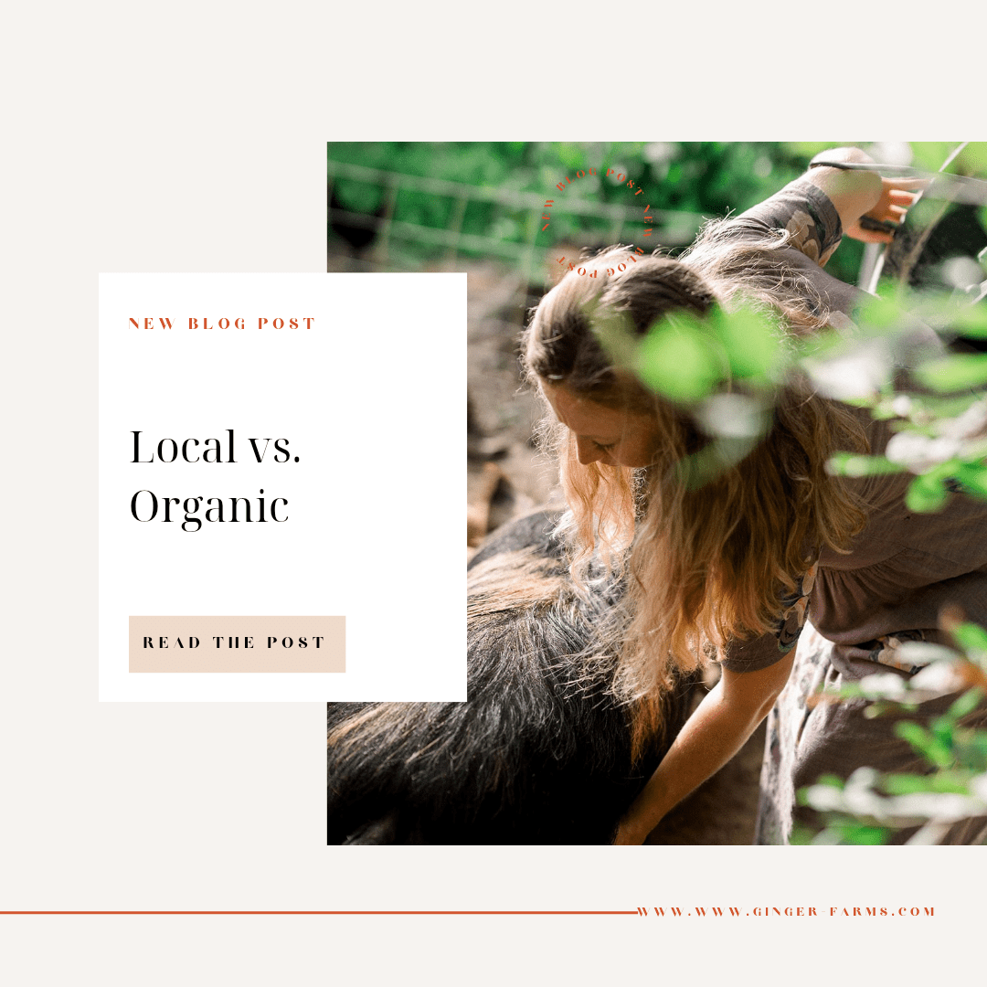 Local Farms vs Organic - Ginger Farms