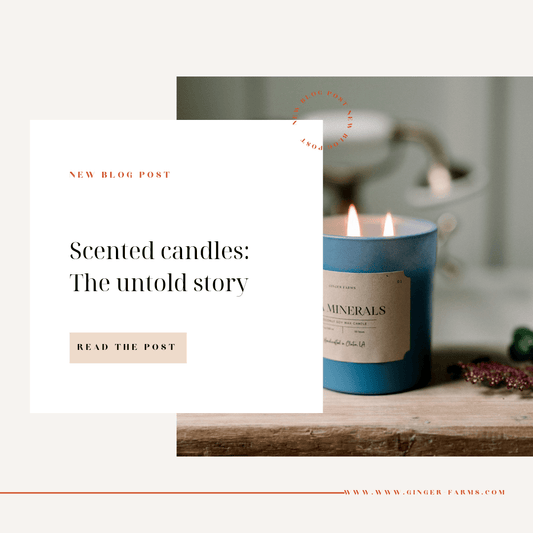 Scented candles: The Untold Story - Ginger Farms
