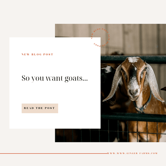 So you want goats... - Ginger Farms