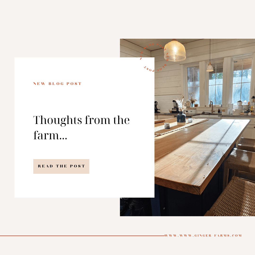 Thoughts from the farm - Ginger Farms