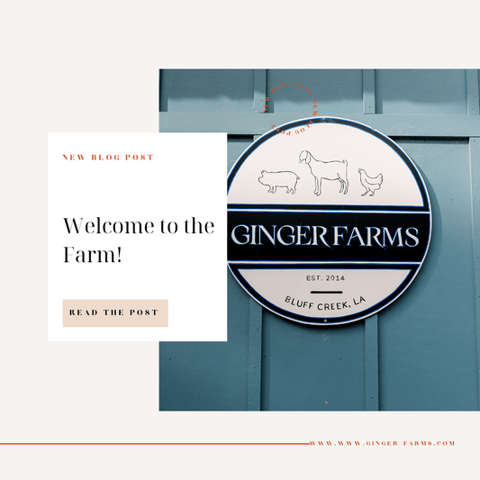 Welcome to the farm! - Ginger Farms