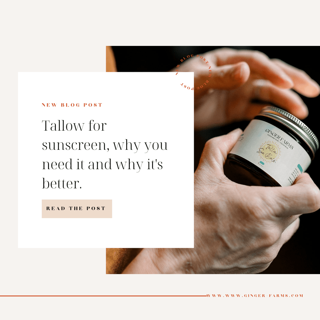 Why Tallow Sun Balm? - Ginger Farms
