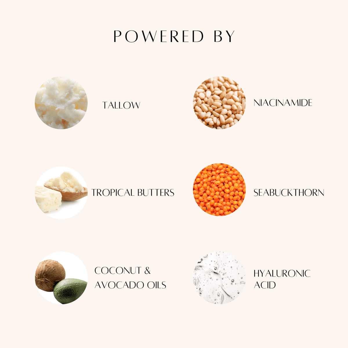 Tallow Face Cream - Ginger Farms
